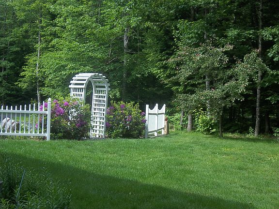 Front Yard