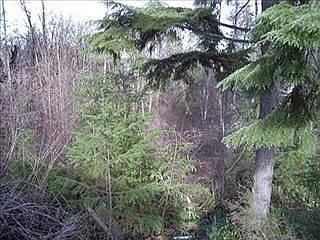 1st image of 9230 Old Highway 99 SE