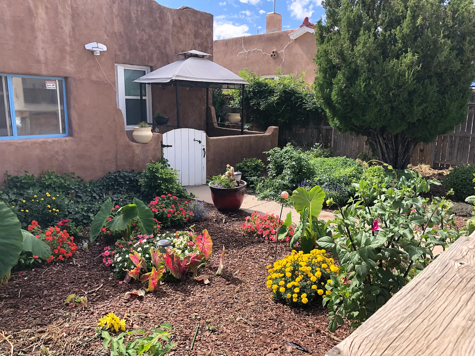 2 bed, 1285 sqft, $1,600 — Photo 2