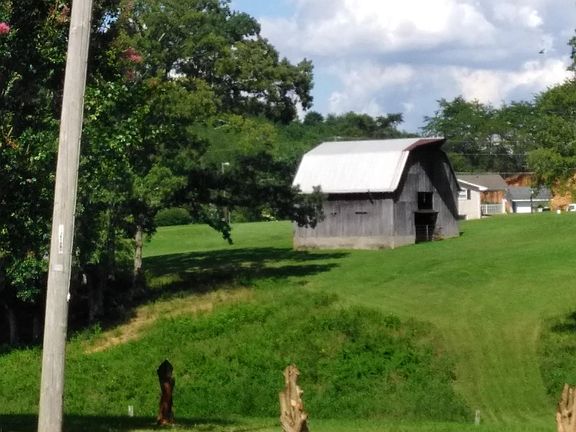 Back yard view of neighbors old barn/land!