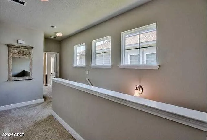 107 Enchantment Falls Ln — Photo 11