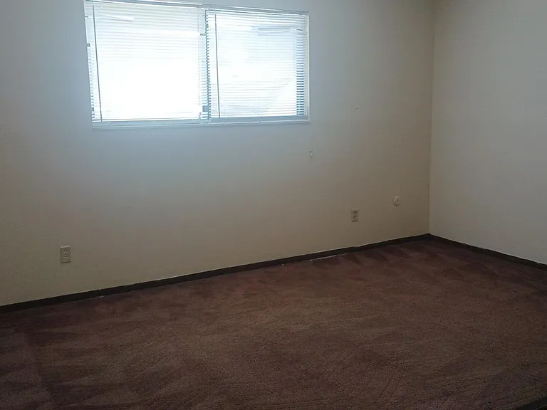 1235 Nadine Dr — Photo 15