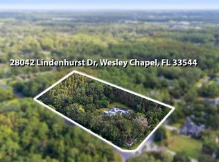 28042 Lindenhurst Dr, Wesley Chapel, FL 33544