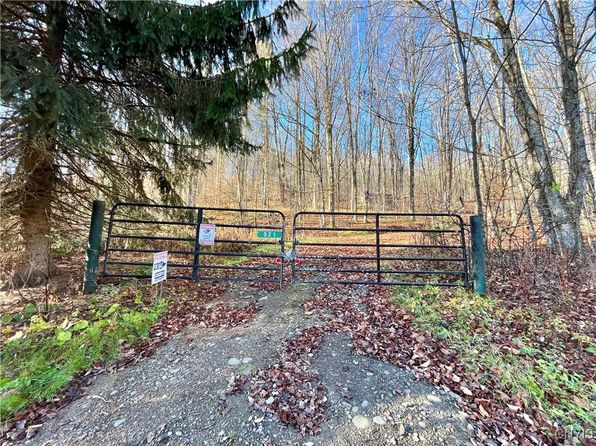 521 Hyer Rd, De Ruyter, NY 13052