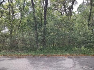 3800 S Diamond Ave, Inverness, FL, 34452