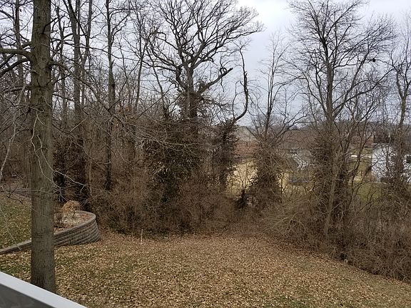 Wooded view from deck