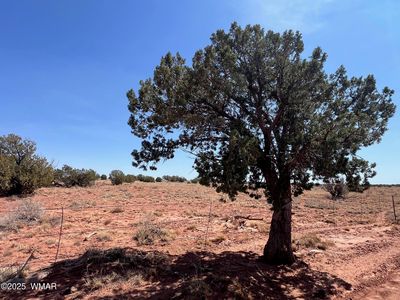 575 Woodridge Rnch, Snowflake, AZ, 85937