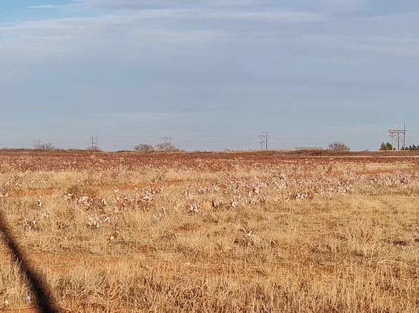 0 County Road 305 Lot 20, Wellman, TX 79378
