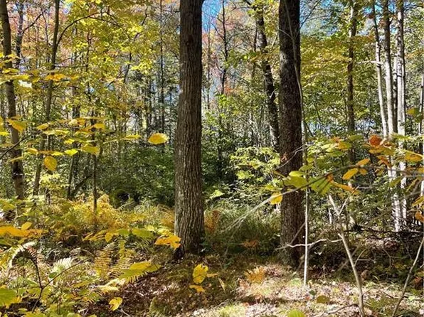 40 Acres 136th Street, New Auburn, WI 54757