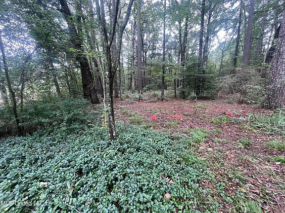 4th image of State Highway 35