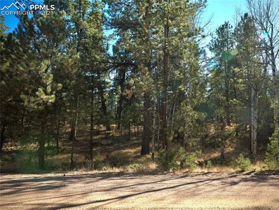 444 Black Mesa Cir, Florissant, CO, 80816