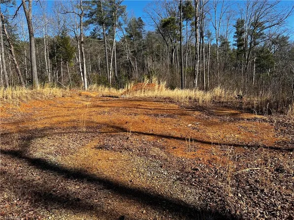 Tbd Hamby Mountain Rd, Wilkesboro, NC 28697