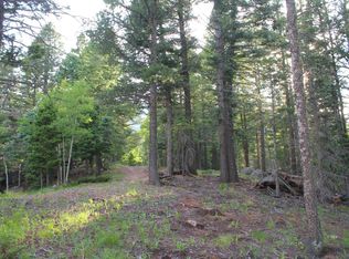 178 Simmons Rd, Westcliffe, CO 81069