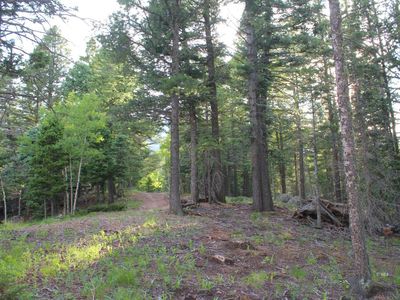 178 Simmons Rd, Westcliffe, CO, 81069