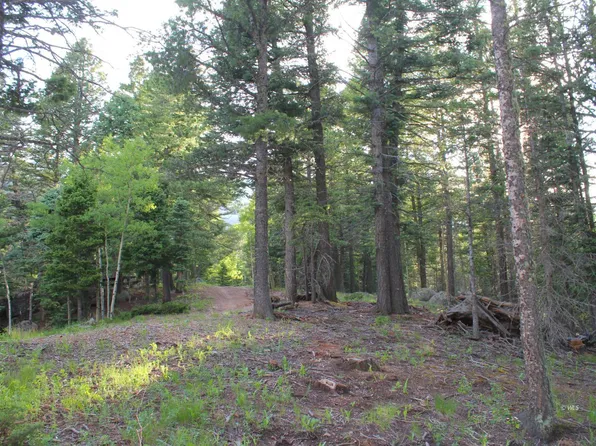 178 Simmons Rd, Westcliffe, CO 81069