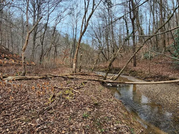 0 Middle Creek Rd, Cosby, TN 37722
