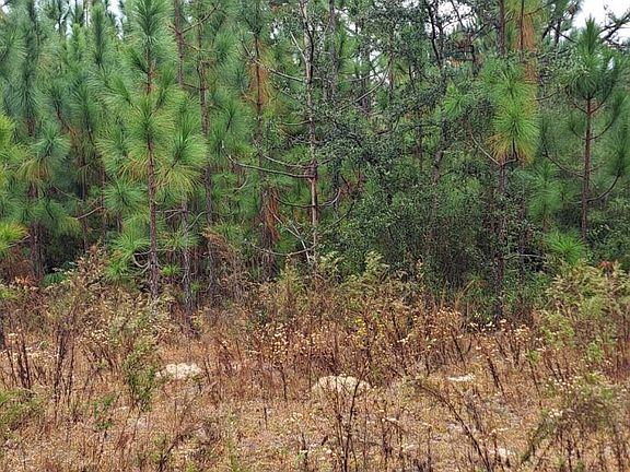 4th image of 0 S River Rd