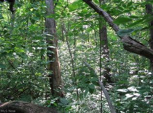 Ravenna Rd, Chardon, OH 44024