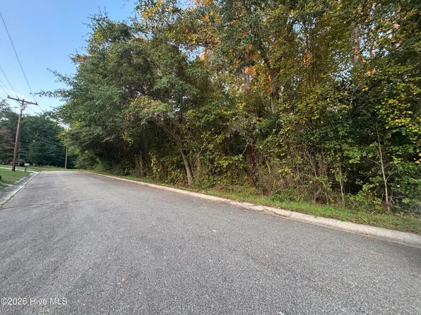 Tbd Mckinnon Road, Rockingham, NC 28379