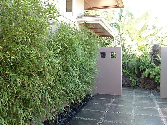Entry Courtyard looking toward Waterfall & Front Entry Inner Courtyard