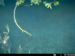 54982 Smith Rd, Ferryville, WI 54628