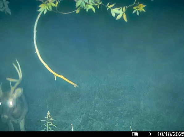 54982 SMITH ROAD, Ferryville, WI 54628