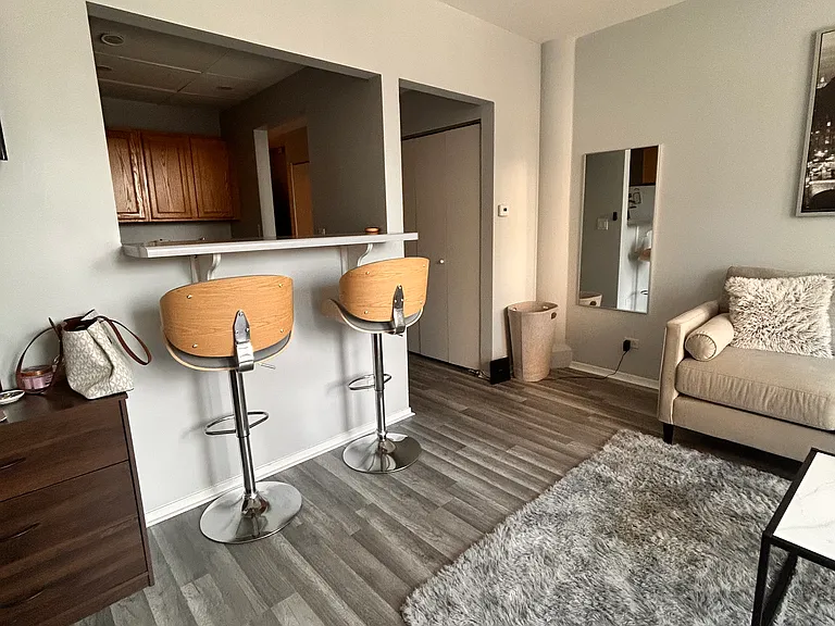 431 S Dearborn St #504 — Photo 4