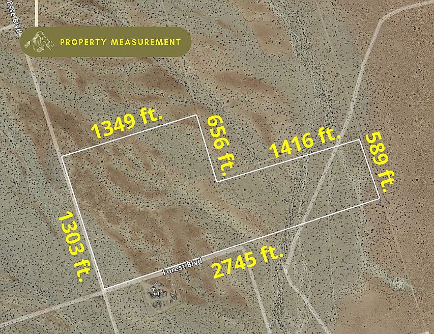 2nd image of Vl Forest Blvd