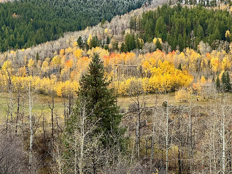Eagle Crest Rd — Photo 8