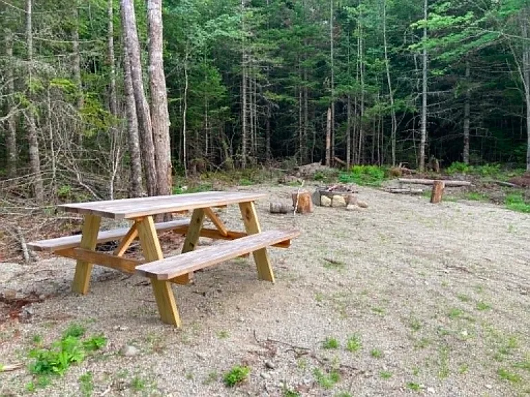 pic nic table and fire ring