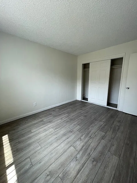 Lisa Manor — Photo 4