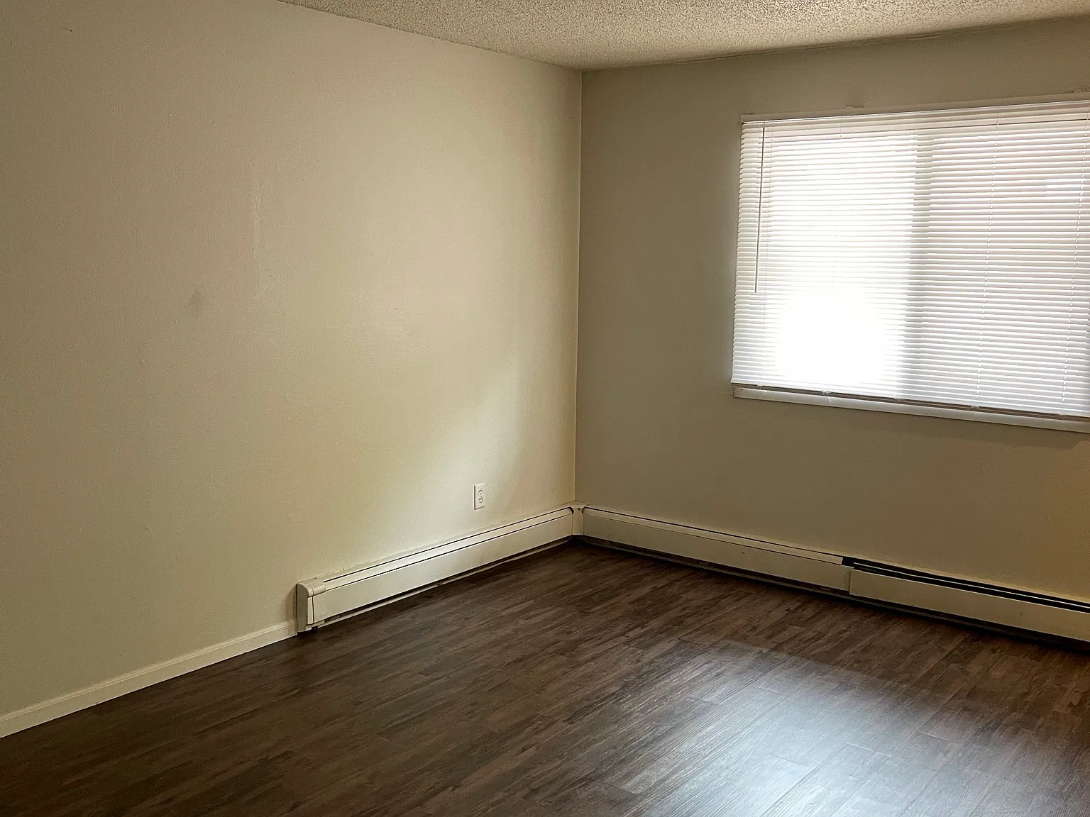 2 bed, $1,135 — Photo 4