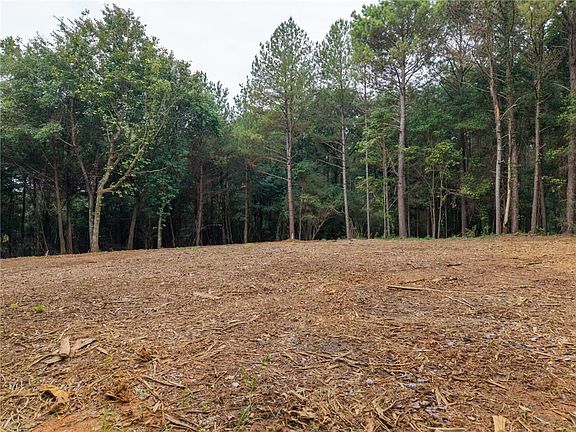 2nd image of 558 Iron Hill Rd #1