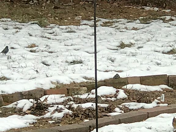 2nd image of 826 Mary Meadows Ln
