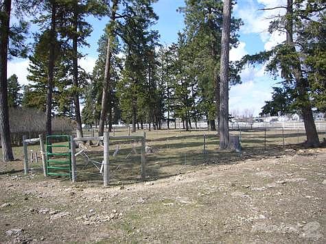 small pasture (2)