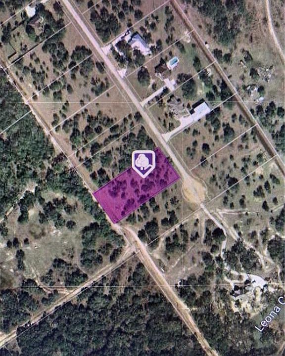 2nd image of 481 Pura Vida