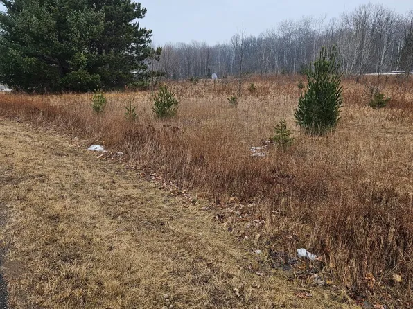 Little Falls Cir, Amery, WI 54001