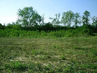 4th image of 300 Chrisman Oaks Trl