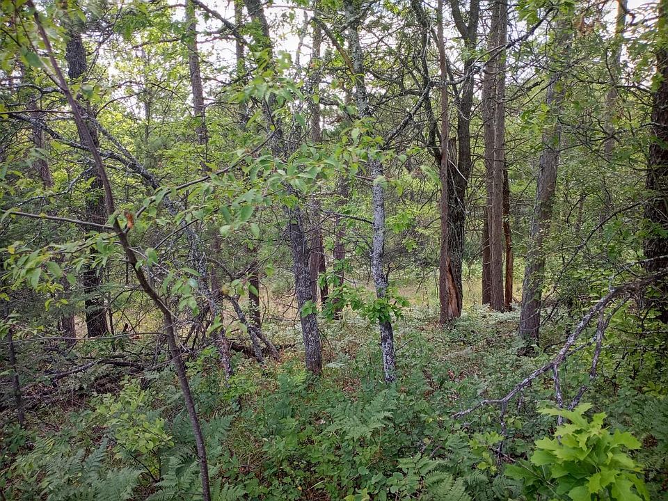 1st image of 800 McKinley Rd