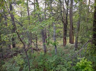 800 McKinley Rd, Mio, MI 48647