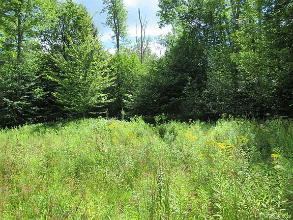 2nd image of TBD Ferndale Road