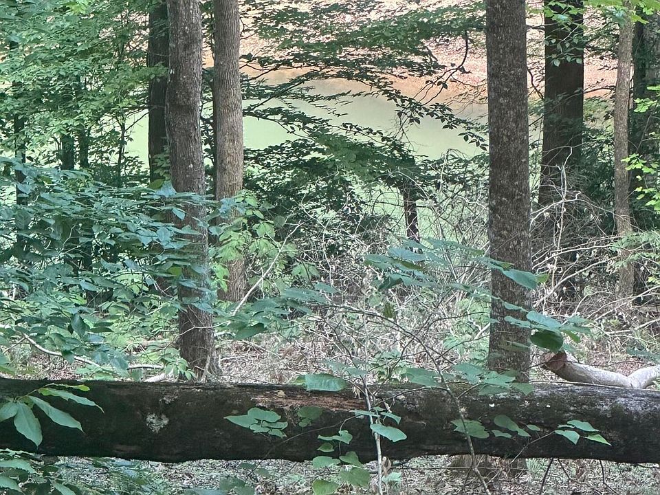 1st image of Hiwassee View Dr Lot 56