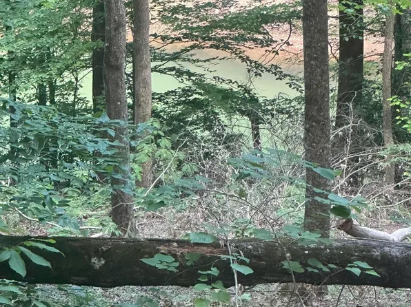 Hiwassee View Dr Lot 56, Jacksboro, TN 37757