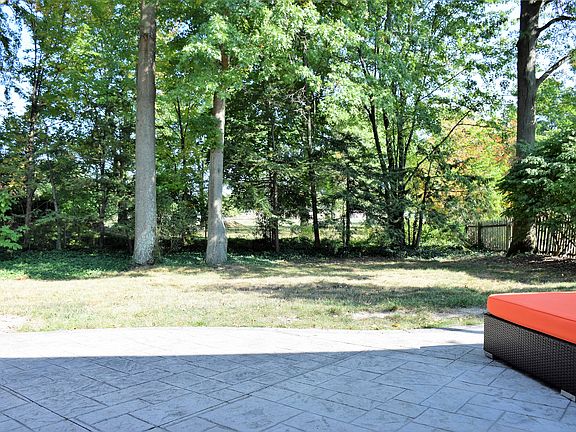 Park views from the backyard