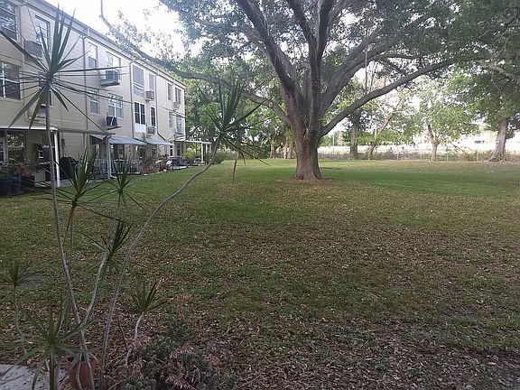 Back yard