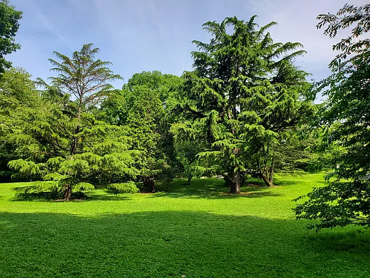 Rented by Bond New York | media 3