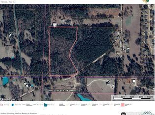 403 W Country Club Rd, Hallsville, TX 75650