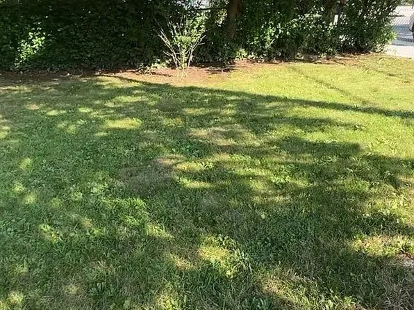 79 Towers Street image 13 of 13