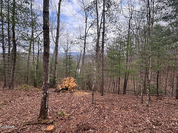 3rd image of 2821 Cedar Falls Way