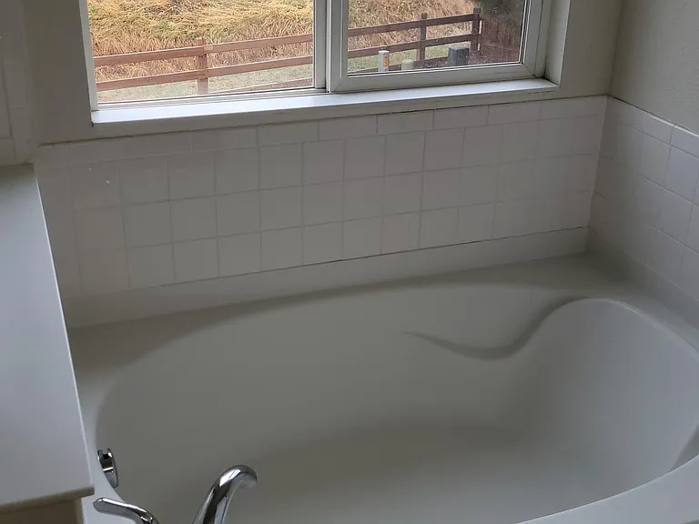 Garden Tub with a view